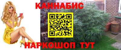 соль ск Пугачёв