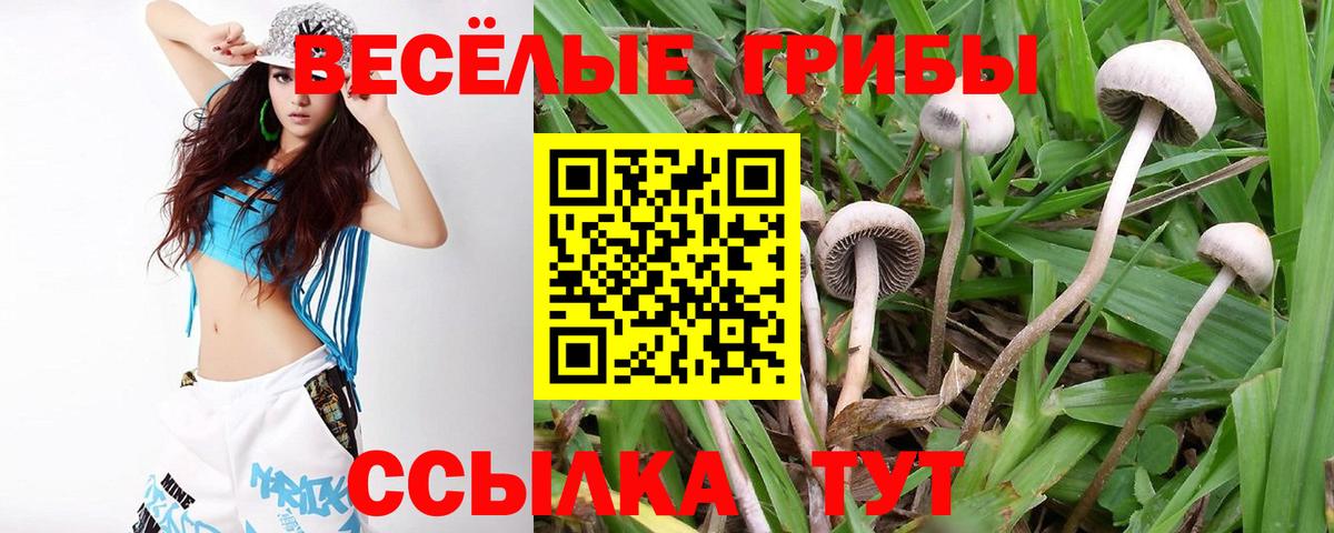 Псилоцибиновые грибы ЛСД Семёнов